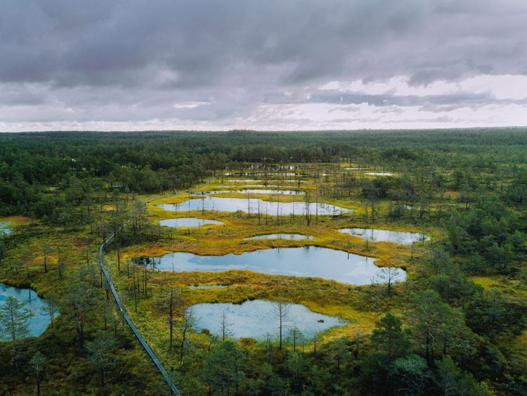 Parc national de Lahemaa en Estonie