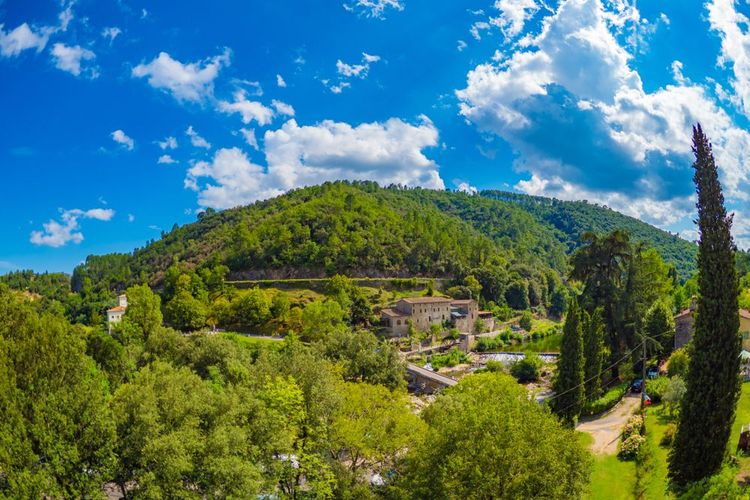 Le parc national des Cévennes.