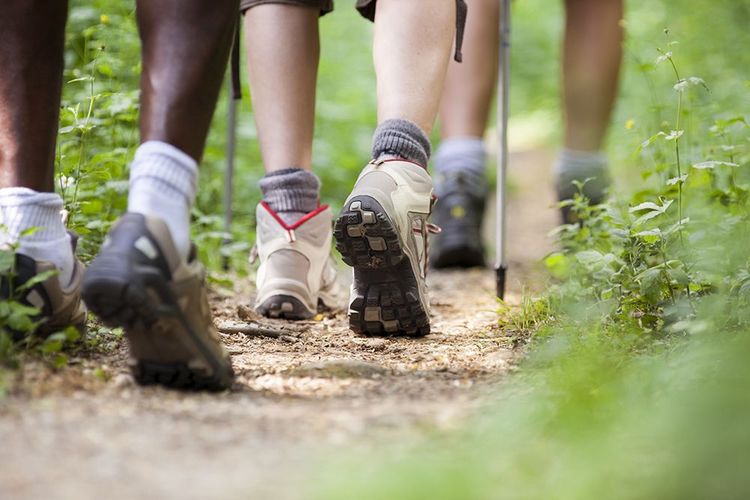 Indispensables, les chaussures de randonnée