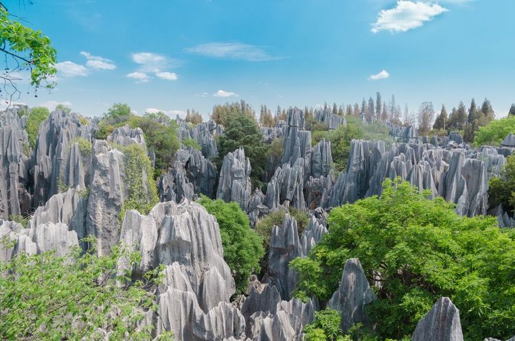 Les Karst de Shilin en Chine.