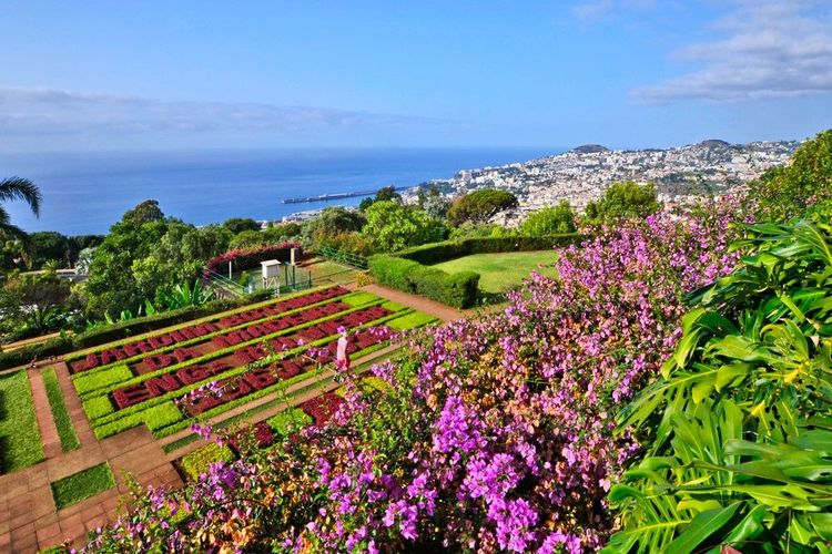Les terrasses fleuries du jardin botanique de Funchal