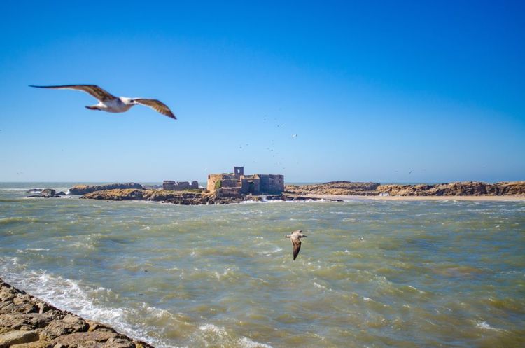 L'île et les ruines d'une mosquée