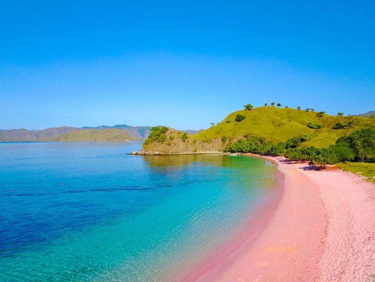 Pink Sand Beach