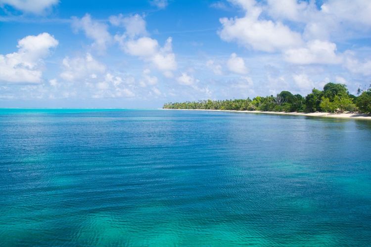 Une plage de l'Atoll Palmyra