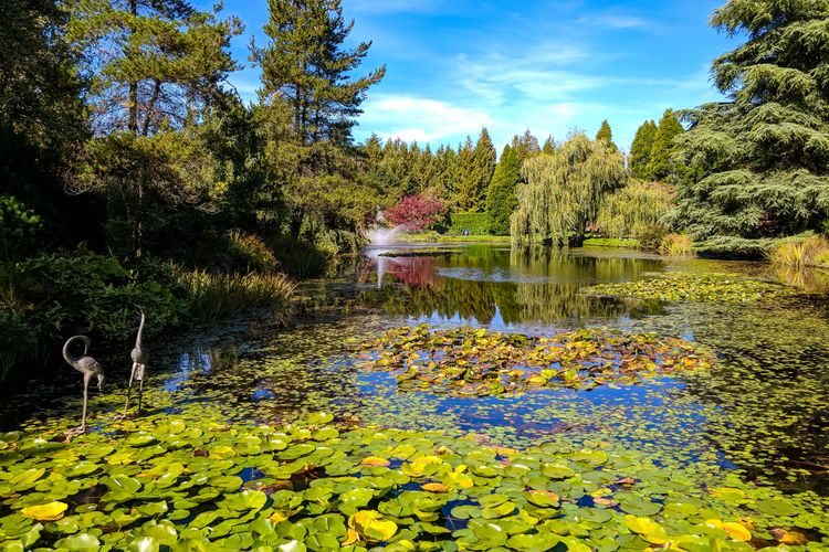 VanDusen Botanical Garden, el jardín botánico más bonito de Vancouver