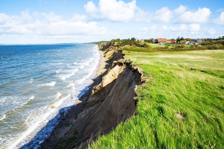 Falaise d'Ertebolle, Limfjord,