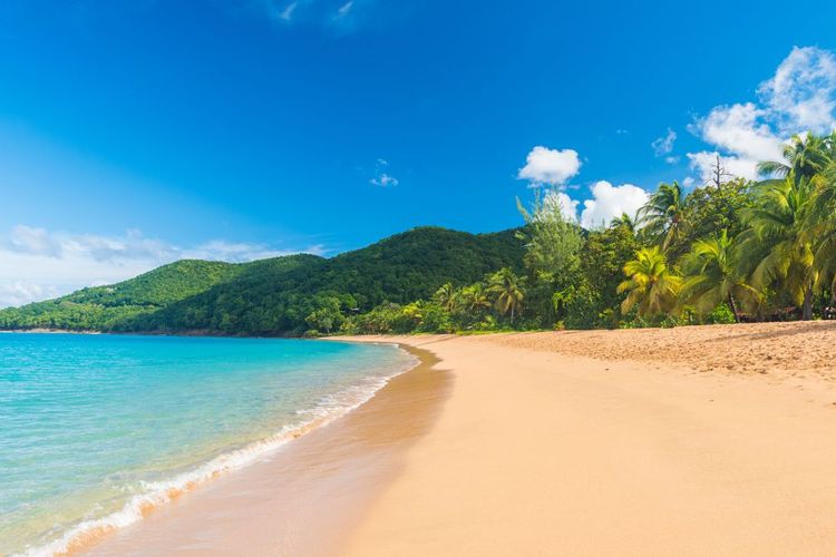 La plage de Grande-Anse à Deshaies