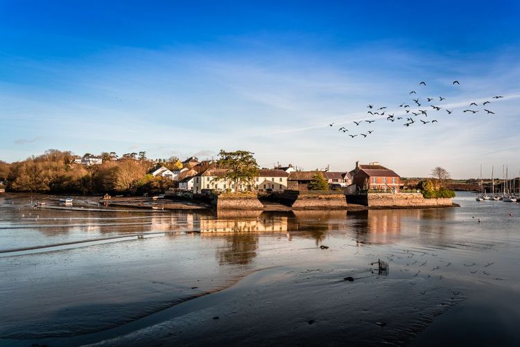 Vue panoramique du port de Kinsale, dans le comté de Cork, en Irlande, à marée basse, avec une volée d'oiseaux volant au-dessus de l'eau.