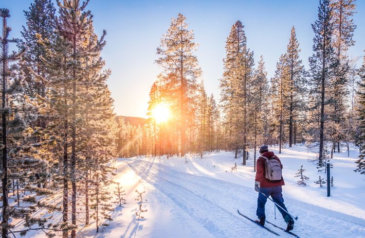 Ski de fond dans la forêt suédoise