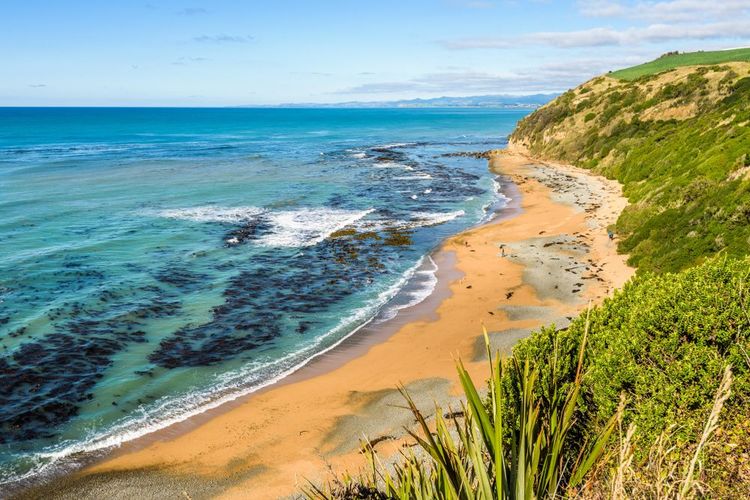 Plage Bushy, Oamaru, Nouvelle-Zélande