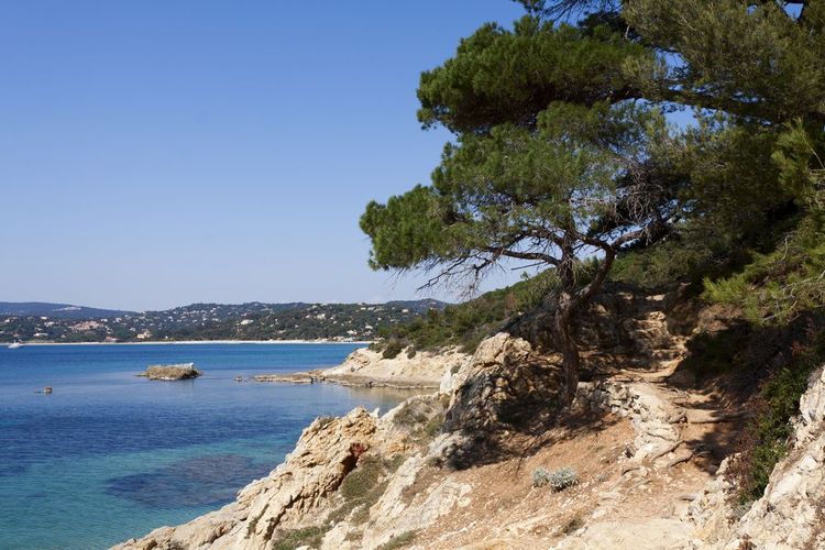Côte du Var, zone naturelle protégée, Var, France