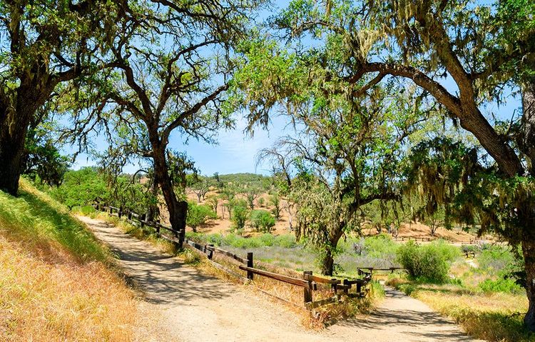 Le parc national des Pinnacles, un peu de verdure dans ce paysage de roche et de rocaille