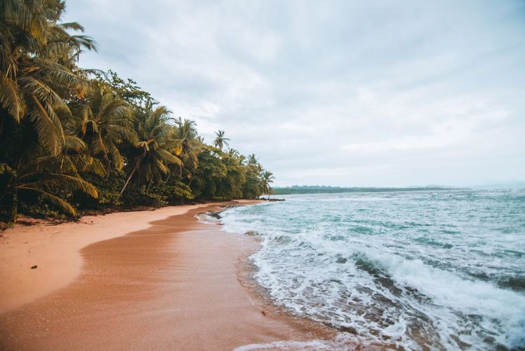 Plage de Manzanillo, Costa Rica