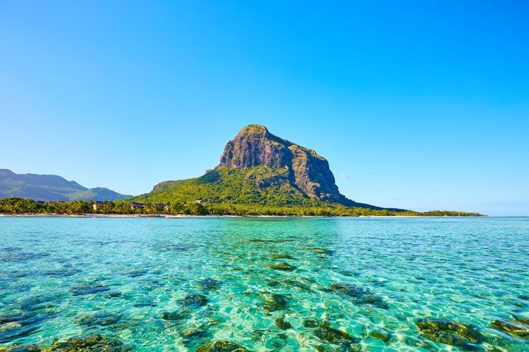 Un paseo yodado por Morne Brabant