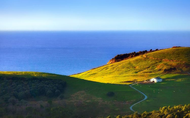 En haut des falaises, campagne et pâturages