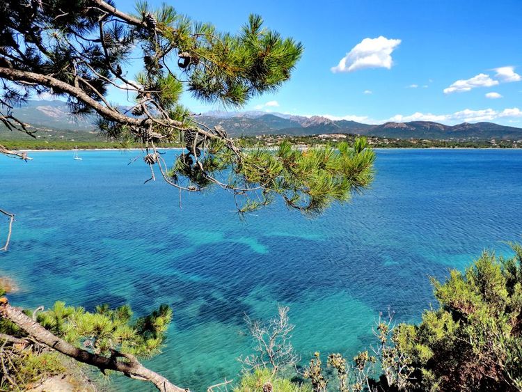 Golfe de Pinarello, Corse, France