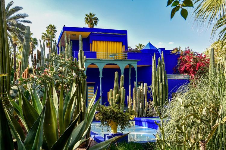 Jardin Majorelle, Marrakech, Maroc