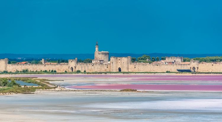 Aigues-Mortes, Salins du Midi, panorama delle saline