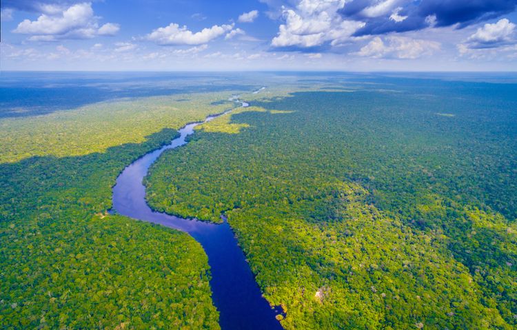 Amazone, Brésil