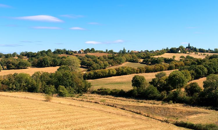 le bocage limousin du parc naturel Périgord-Limousin