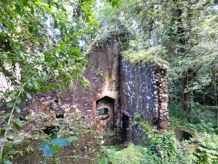 La Pagerie ou le colonialisme en ruines en Martinique