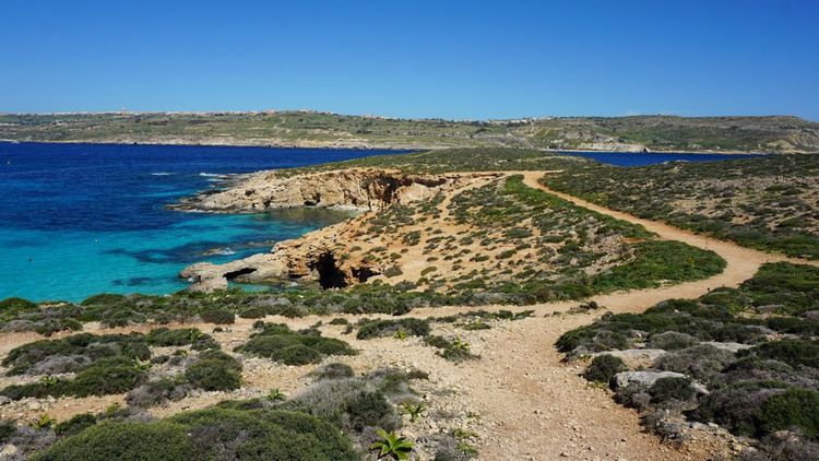 Les sentiers de l'île de Comino