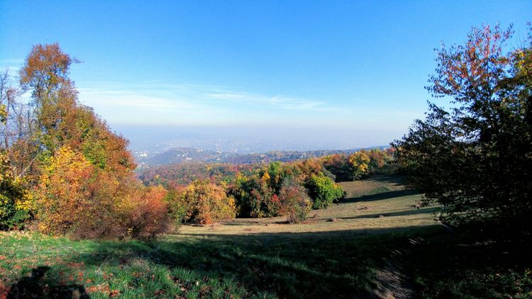 Buda Hills, esquiar a sólo 20 minutos del centro de la ciudad