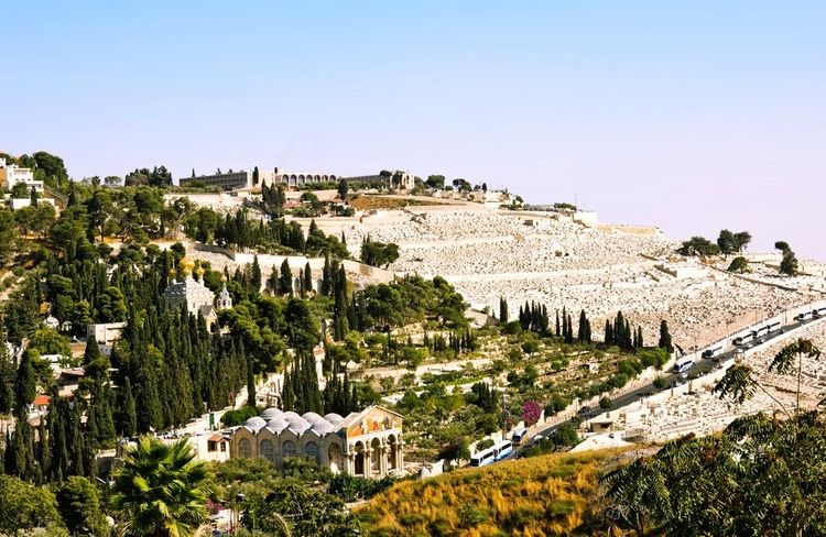 Le Mont des Oliviers, un point de vue emblématique sur Jérusalem