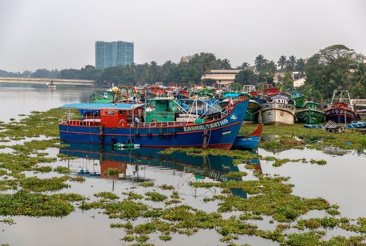 Le port de L'île de Willingdon, Inde
