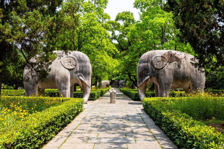 Statues d'éléphants dans l'allée sacrée du mausolée Ming Xiaoling, situé sur le mont Zijin, à Nanjing, dans la province du Jiangsu, en Chine. Le mausolée Ming Xiaoling est inscrit au patrimoine mondial de l'UNESCO.