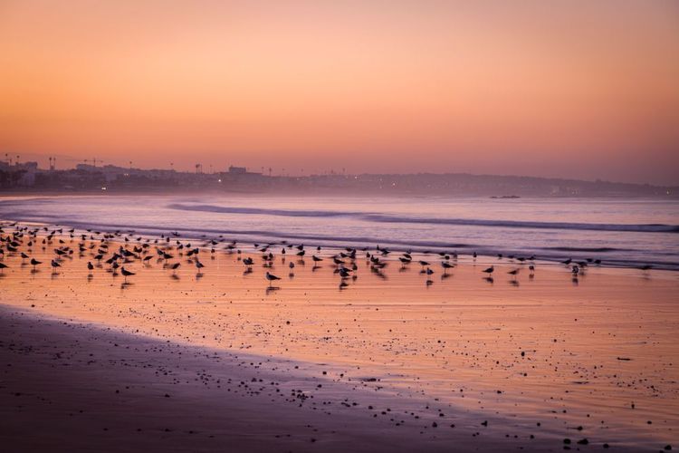 Der Strand des Souss-Massa-Nationalparks