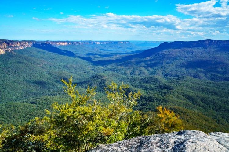 Point de vue sur les Blue Mountains depuis le Sublime Point Lookout