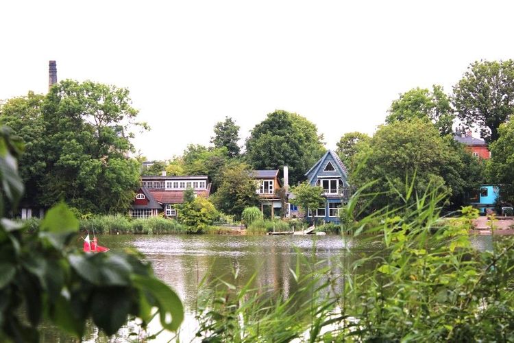 Etang dans le quartier