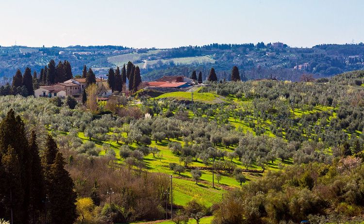 Val di Pesa, réputé pour la production de vin et d'huile d'olive.