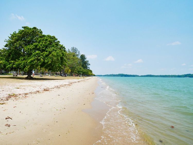 Shangi Beach Park, non loin de l’aéroport de Singapour.