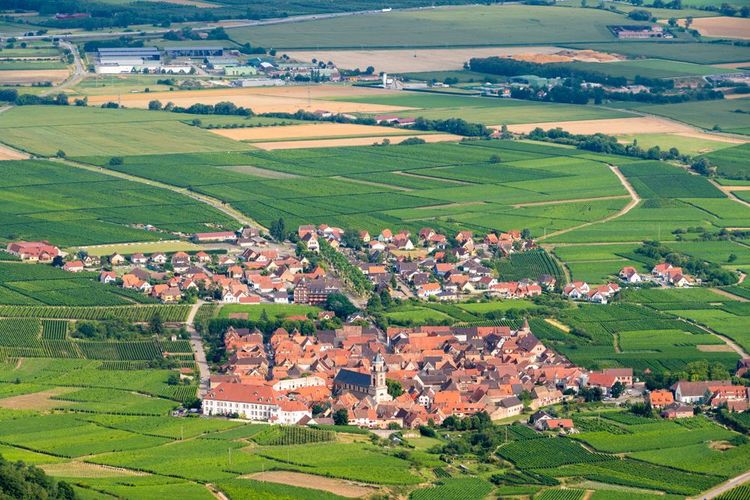 vue aérienne depuis le château duHaut-Koenigsbourg