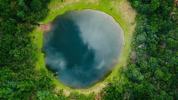Plan d'eau au milieu de la forêt