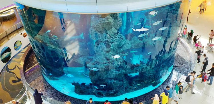 L'acquario del Morocco Mall di Casablanca