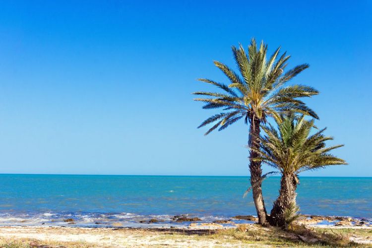 Le littoral méditerranéen de Djerba.