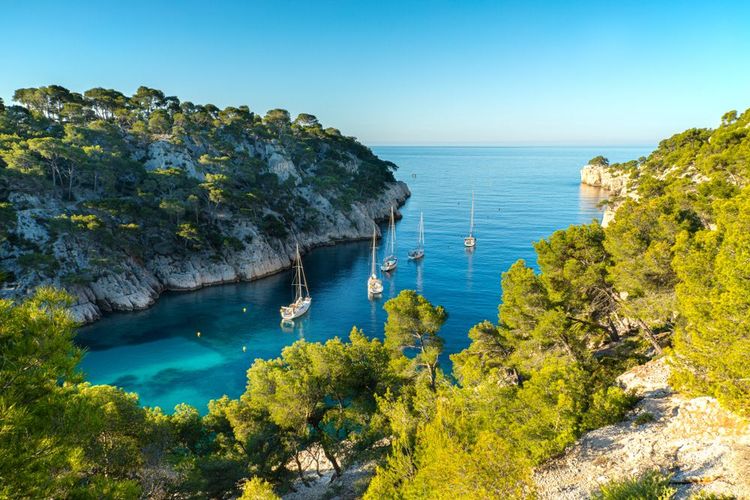 Vue sur Calanque de Port Pin à Cassis , France