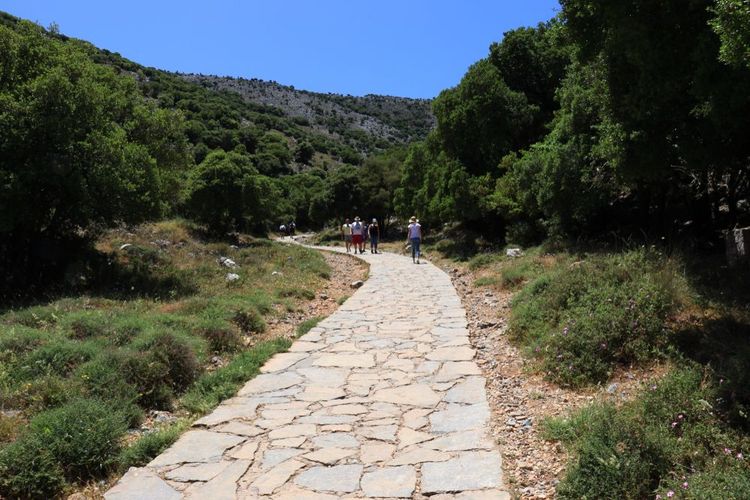 Le chemin menant à la grotte