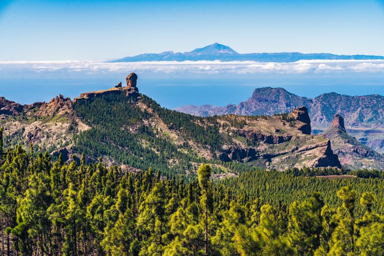 Maravíllate con las formas de la naturaleza desde el Roque Nublo