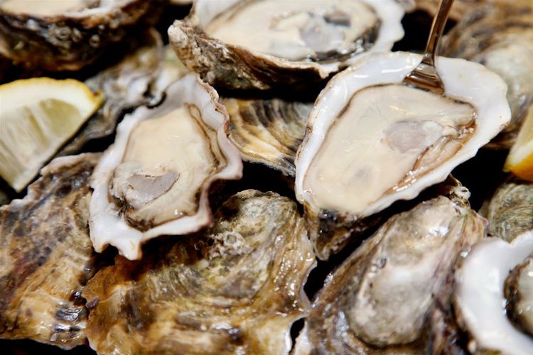 Les huîtres de Carlingford (ou de la baie de Cork)