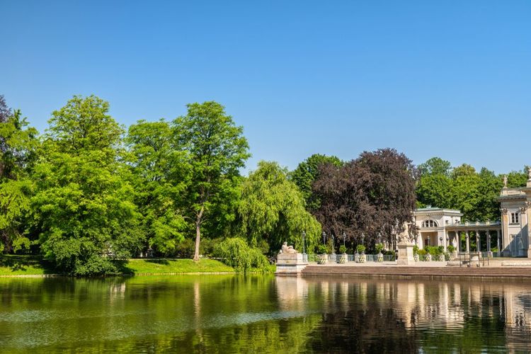 Le parc Łazienki au cœur de Varsovie