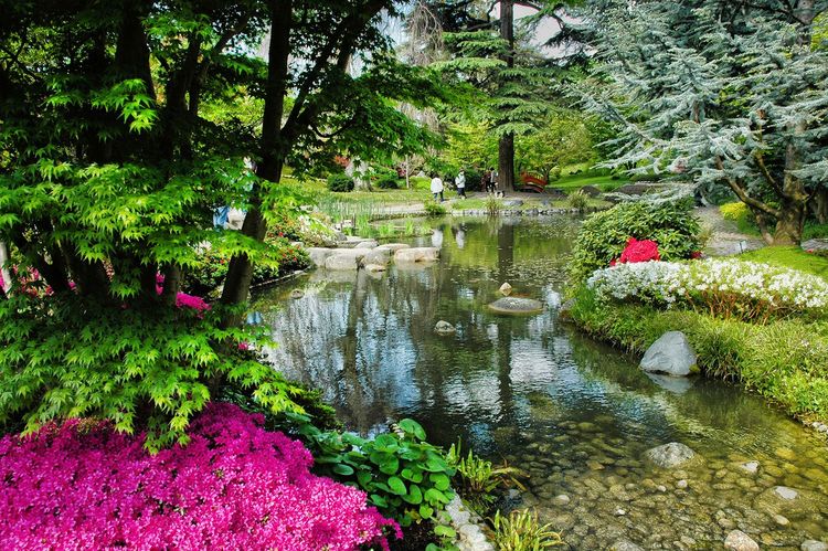 Le jardin japonais du Musée Albert Kahn