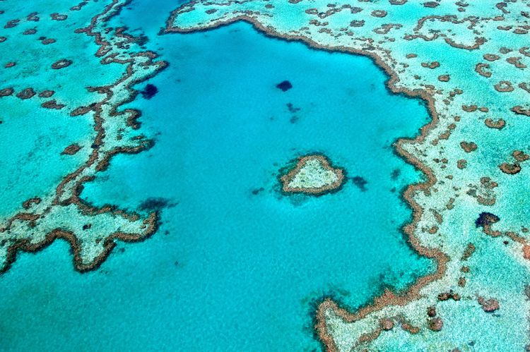 Vue aérienne sur la Grande Barrière de Corail où ce cœur est visible dans l'océan
