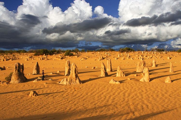 Le parc national Nambung et ses pinacles
