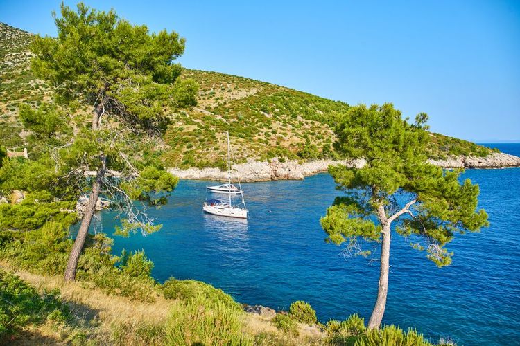 on aime venir à Mekicevica en bateau