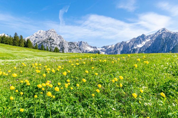 Walderalm, Autriche, Gnadenwald, région Tyrol