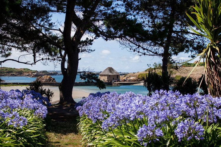 L'île de Bréhat et ses fleus exotiques